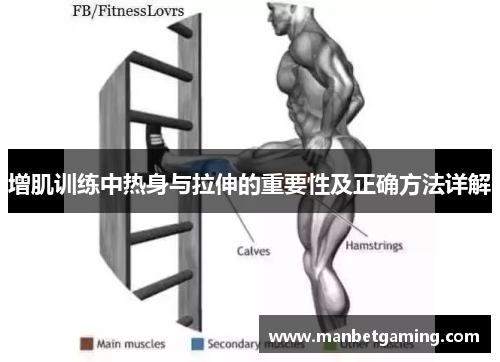 增肌训练中热身与拉伸的重要性及正确方法详解